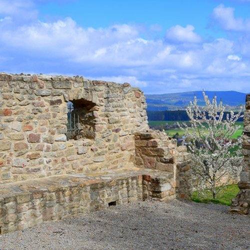 Burgruine Haus Murach, Bild 14