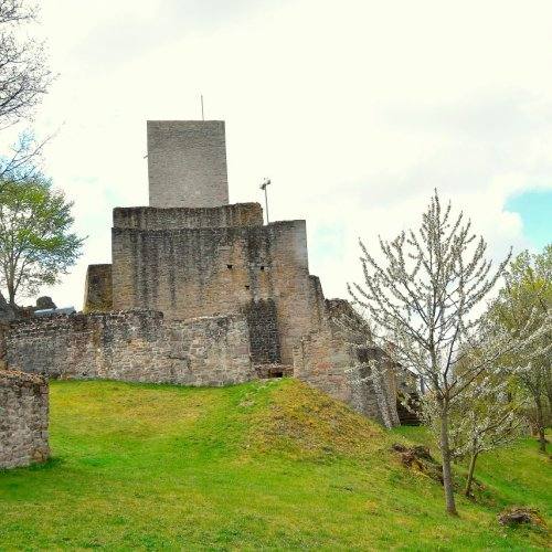 Burgruine Haus Murach, Bild 18