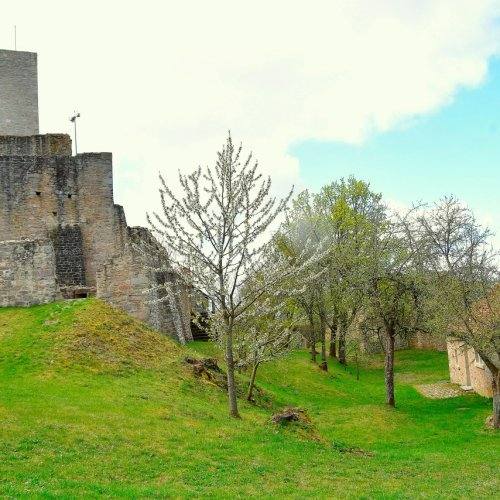 Burgruine Haus Murach, Bild 19