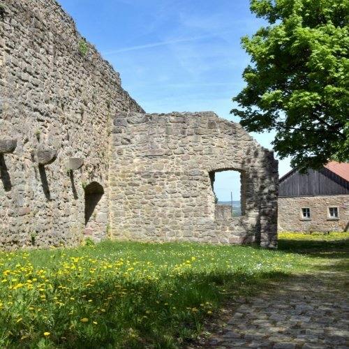 Burgruine Haus Murach, Bild 8