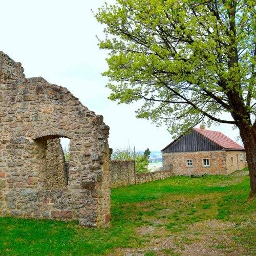 Burgruine Haus Murach, Bild 9